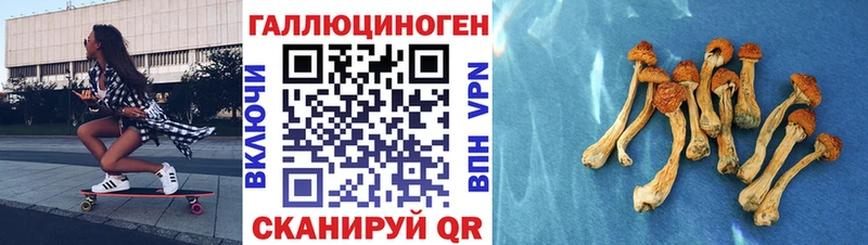 kraken зеркало  цены наркотик  Бабаево  Галлюциногенные грибы ЛСД 
